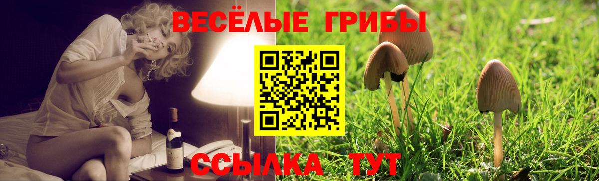 Псилоцибиновые грибы GOLDEN TEACHER  Псилоцибиновые грибы Magic Shrooms  Кизляр  Вход с VPN 
