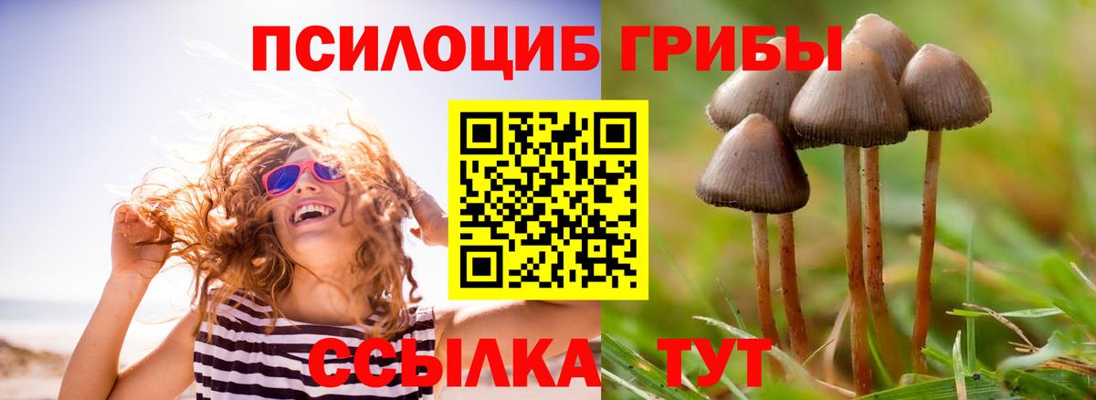 Галлюциногенные грибы мухоморы Кизляр